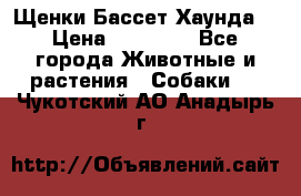 Щенки Бассет Хаунда  › Цена ­ 25 000 - Все города Животные и растения » Собаки   . Чукотский АО,Анадырь г.